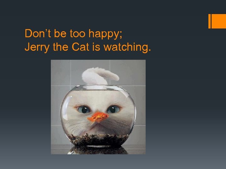 Don’t be too happy; Jerry the Cat is watching. 