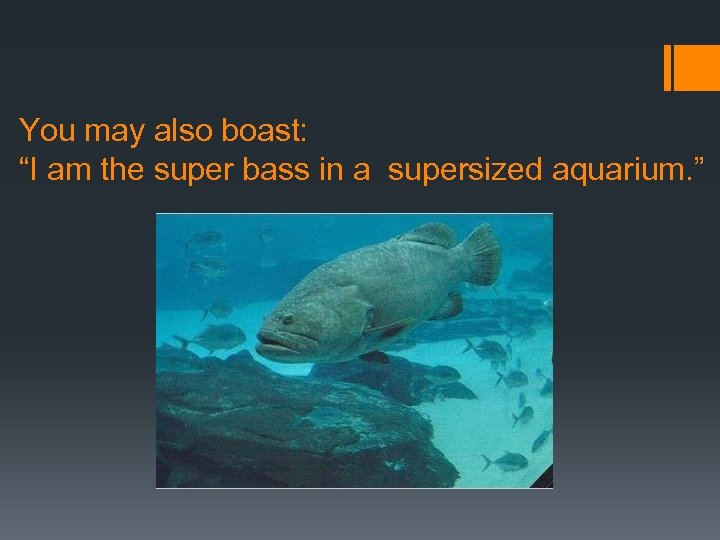 You may also boast: “I am the super bass in a supersized aquarium. ”