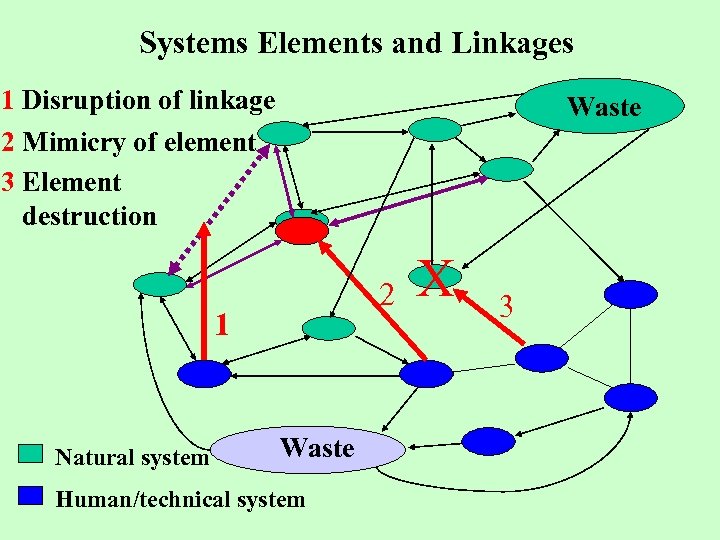 Systems Elements and Linkages 1 Disruption of linkage 2 Mimicry of element 3 Element