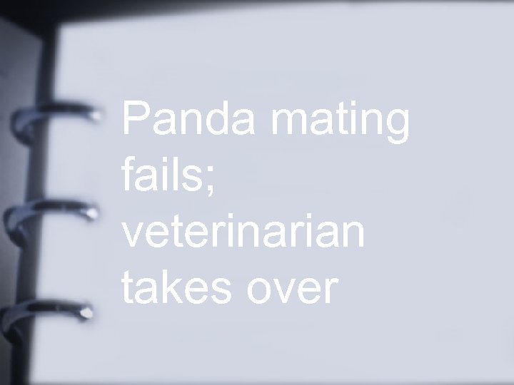 Panda mating fails; veterinarian takes over 