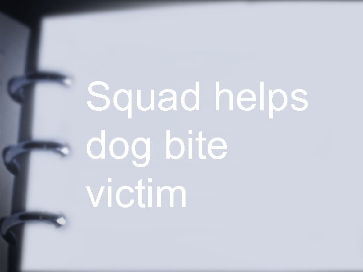 Squad helps dog bite victim 