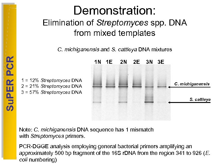 Demonstration: Elimination of Streptomyces spp. DNA from mixed templates Su. PER PCR C. michiganensis