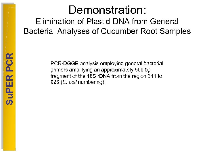 Demonstration: Su. PER PCR Elimination of Plastid DNA from General Bacterial Analyses of Cucumber