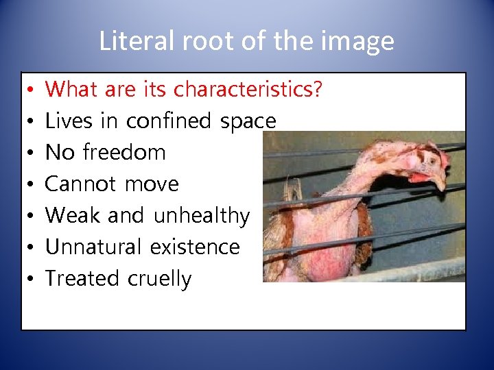 Literal root of the image • • What are its characteristics? Lives in confined