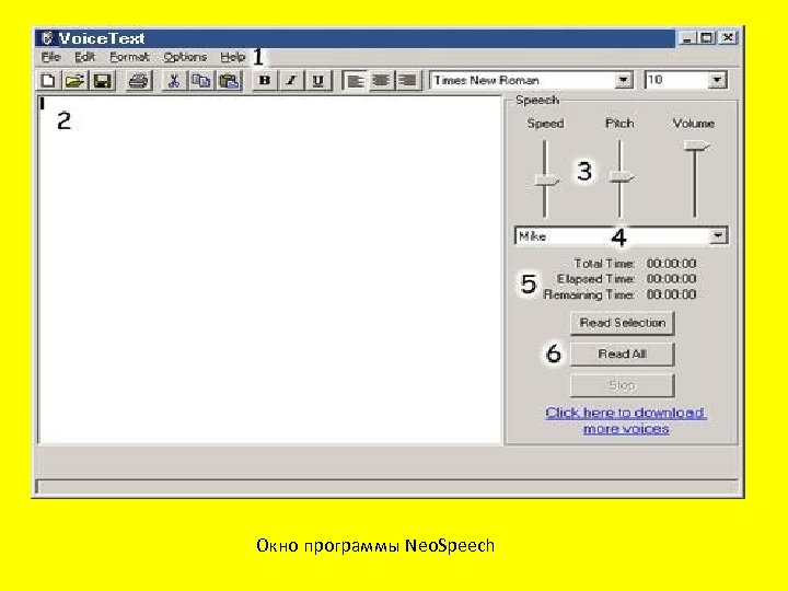 Окно программы Neo. Speech 