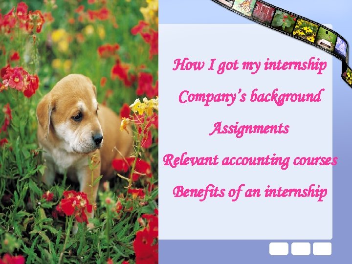How I got my internship Company’s background Assignments Relevant accounting courses Benefits of an