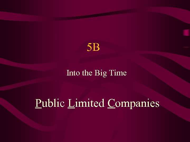 5 B Into the Big Time Public Limited Companies 