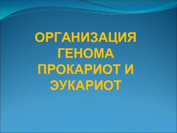 ОРГАНИЗАЦИЯ ГЕНОМА ПРОКАРИОТ И ЭУКАРИОТ 