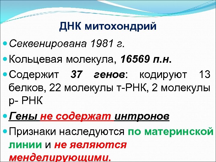 ДНК митохондрий Секвенирована 1981 г. Кольцевая молекула, 16569 п. н. Содержит 37 генов: кодируют