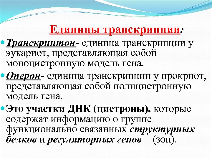 Единицы транскрипции: Транскриптон- единица транскрипции у эукариот, представляющая собой моноцистронную модель гена. Оперон- единица