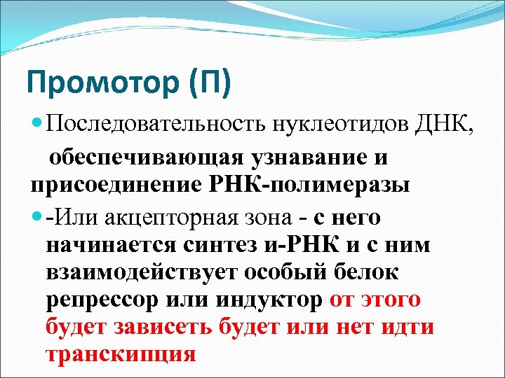 Промотор (П) Последовательность нуклеотидов ДНК, обеспечивающая узнавание и присоединение РНК-полимеразы -Или акцепторная зона -