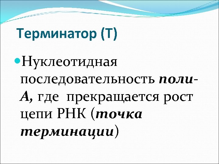 Терминатор (Т) Нуклеотидная последовательность поли. А, где прекращается рост цепи РНК (точка терминации) 