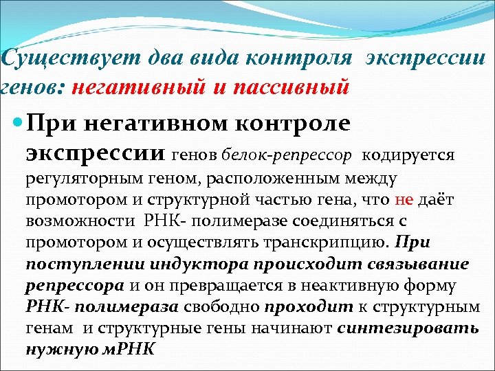 Существует два вида контроля экспрессии генов: негативный и пассивный При негативном контроле экспрессии генов