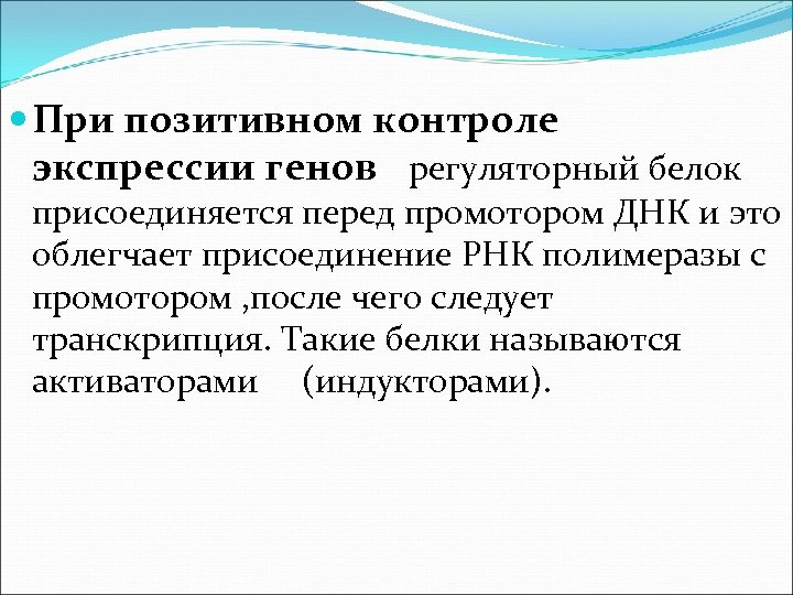  При позитивном контроле экспрессии генов регуляторный белок присоединяется перед промотором ДНК и это