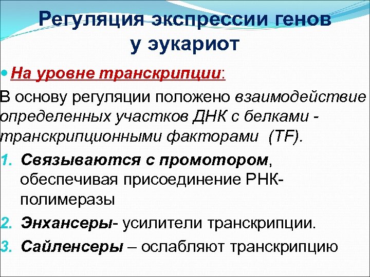 Регуляция экспрессии генов у эукариот На уровне транскрипции: В основу регуляции положено взаимодействие определенных