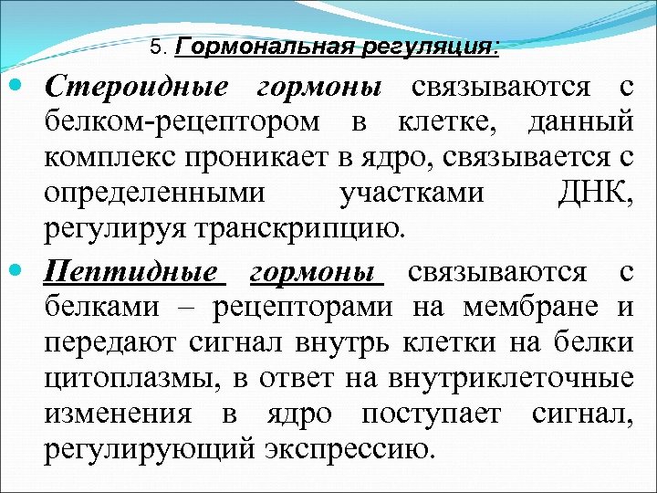 5. Гормональная регуляция: Стероидные гормоны связываются с белком-рецептором в клетке, данный комплекс проникает в