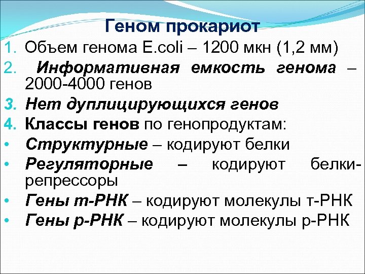 Геном прокариот 1. Объем генома E. coli – 1200 мкн (1, 2 мм) 2.