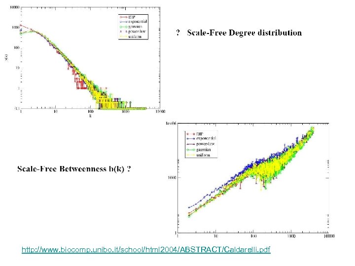http: //www. biocomp. unibo. it/school/html 2004/ABSTRACT/Caldarelli. pdf 