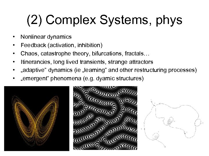 (2) Complex Systems, phys • • • Nonlinear dynamics Feedback (activation, inhibition) Chaos, catastrophe