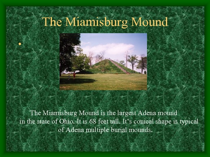 The Miamisburg Mound • The Miamisburg Mound is the largest Adena mound in the