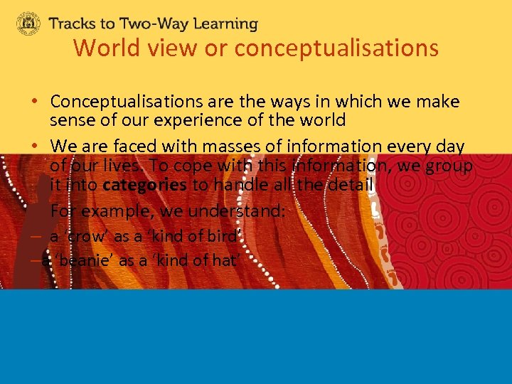 World view or conceptualisations • Conceptualisations are the ways in which we make sense