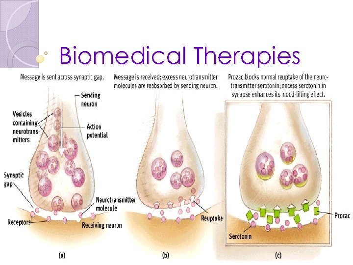 Biomedical Therapies 