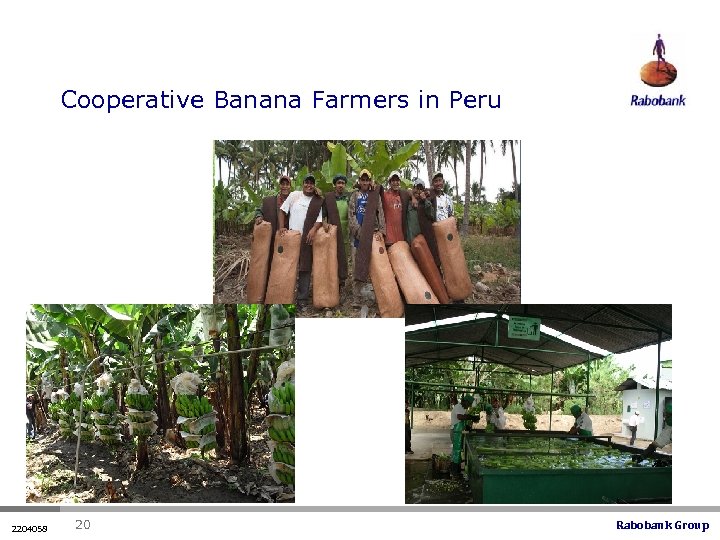 Cooperative Banana Farmers in Peru 2204058 20 Rabobank Group 