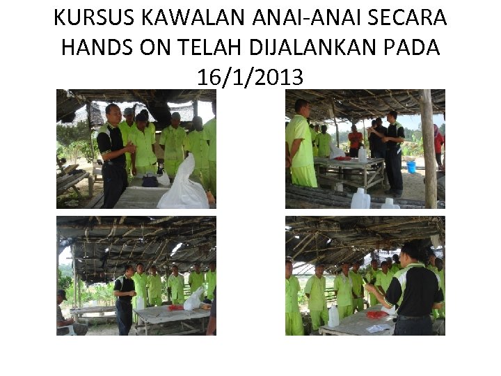 KURSUS KAWALAN ANAI-ANAI SECARA HANDS ON TELAH DIJALANKAN PADA 16/1/2013 