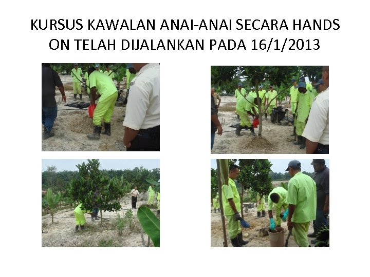 KURSUS KAWALAN ANAI-ANAI SECARA HANDS ON TELAH DIJALANKAN PADA 16/1/2013 