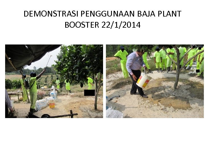 DEMONSTRASI PENGGUNAAN BAJA PLANT BOOSTER 22/1/2014 