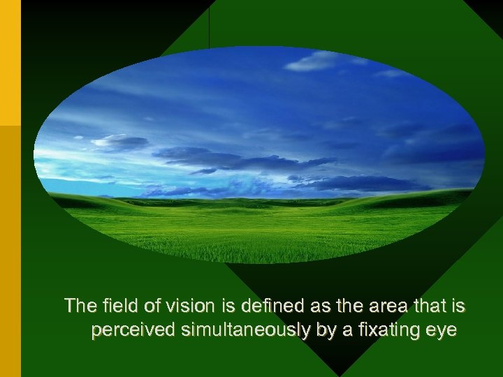 The field of vision is defined as the area that is perceived simultaneously by