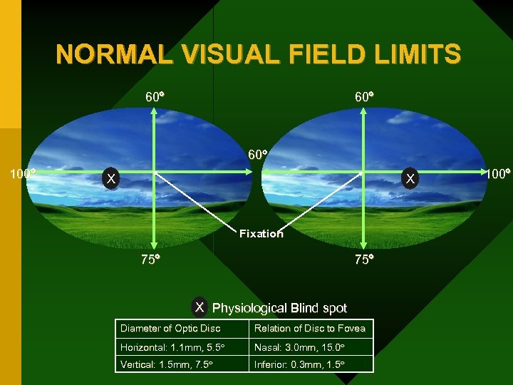 NORMAL VISUAL FIELD LIMITS 60 60 100 X X Fixation 75 X Physiological Blind