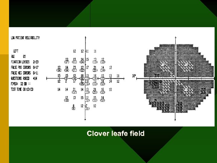 Clover leafe field 