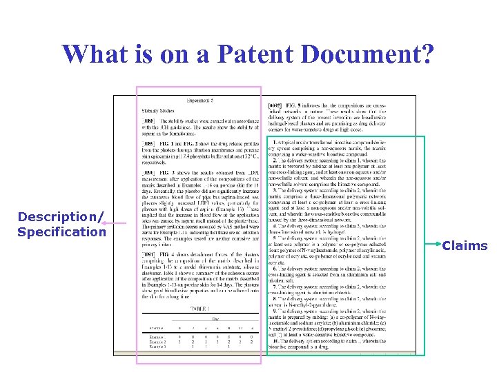 What is on a Patent Document? Description/ Specification Claims 