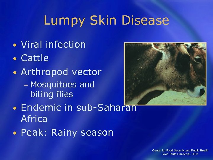 Lumpy Skin Disease Viral infection • Cattle • Arthropod vector • − Mosquitoes biting
