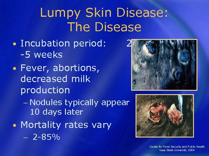 Lumpy Skin Disease: The Disease Incubation period: -5 weeks • Fever, abortions, decreased milk