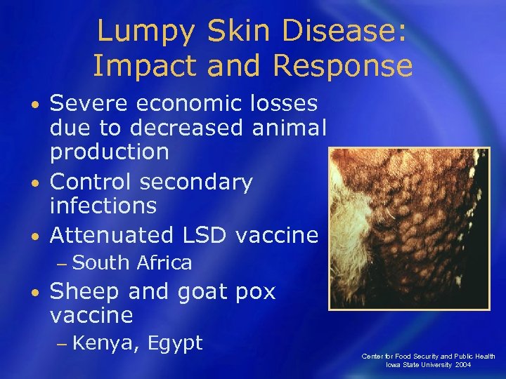 Lumpy Skin Disease: Impact and Response Severe economic losses due to decreased animal production