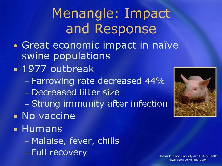 Menangle: Impact and Response Great economic impact in naïve swine populations • 1977 outbreak