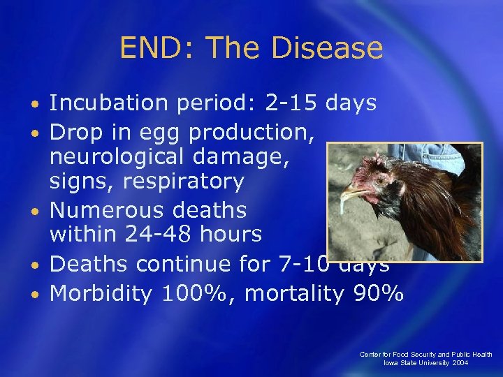 END: The Disease • • • Incubation period: 2 -15 days Drop in egg