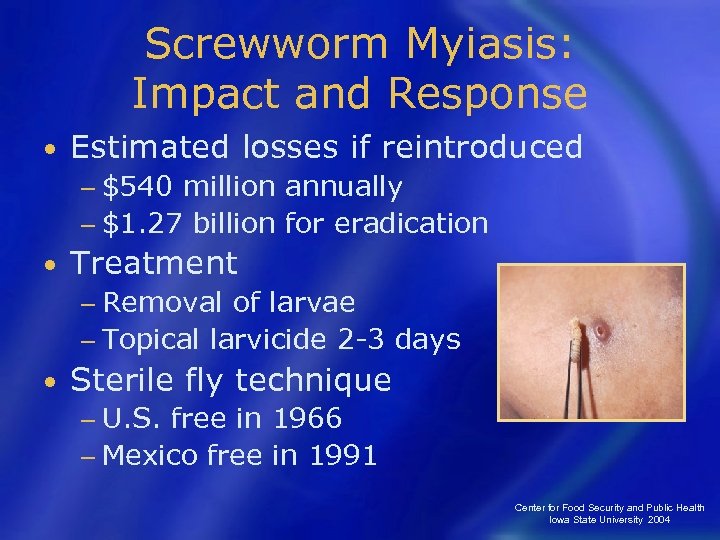Screwworm Myiasis: Impact and Response • Estimated losses if reintroduced − $540 million annually
