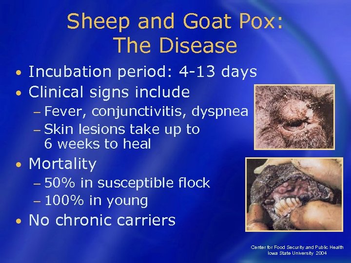 Sheep and Goat Pox: The Disease Incubation period: 4 -13 days • Clinical signs