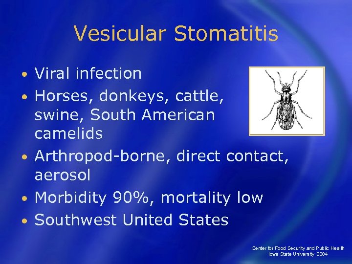 Vesicular Stomatitis • • • Viral infection Horses, donkeys, cattle, swine, South American camelids