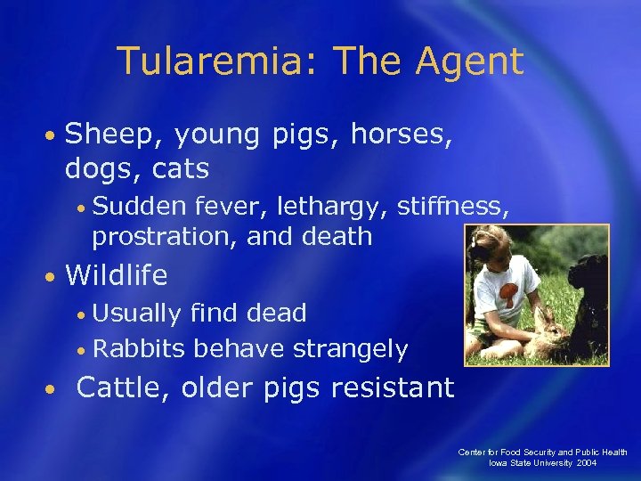 Tularemia: The Agent • Sheep, young pigs, horses, dogs, cats • Sudden fever, lethargy,