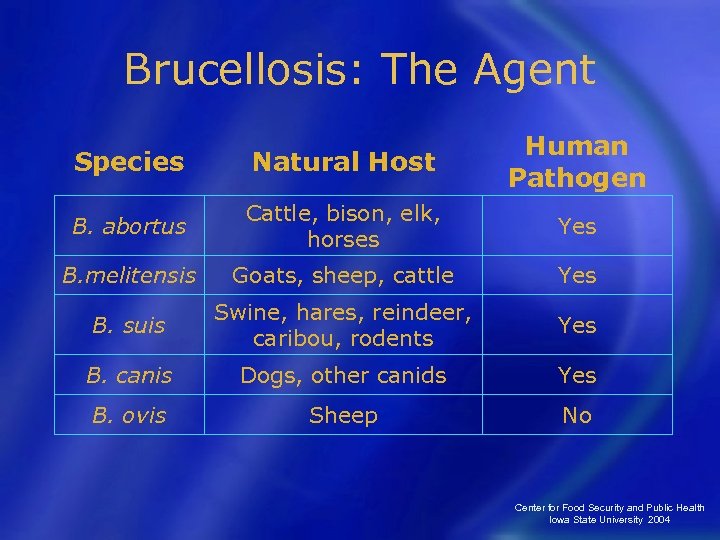 Brucellosis: The Agent Species Natural Host Human Pathogen B. abortus Cattle, bison, elk, horses
