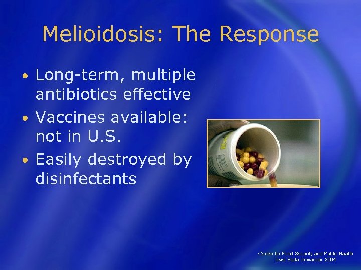 Melioidosis: The Response Long-term, multiple antibiotics effective • Vaccines available: not in U. S.