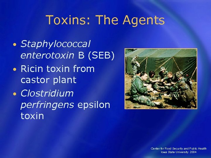 Toxins: The Agents Staphylococcal enterotoxin B (SEB) • Ricin toxin from castor plant •