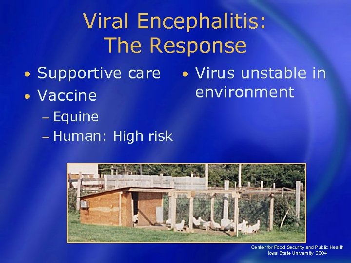 Viral Encephalitis: The Response Supportive care • Vaccine • • Virus unstable in environment