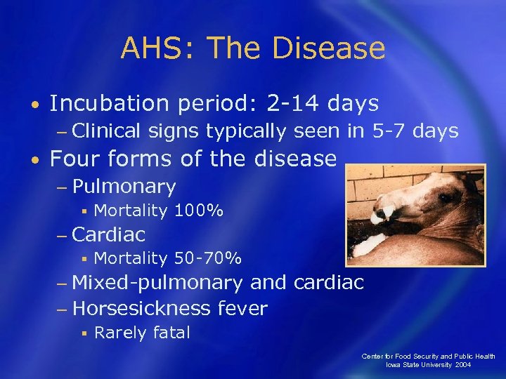 AHS: The Disease • Incubation period: 2 -14 days − Clinical • signs typically
