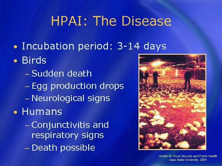 HPAI: The Disease Incubation period: 3 -14 days • Birds • − Sudden death