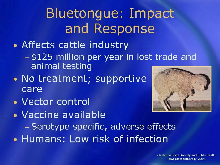 Bluetongue: Impact and Response • Affects cattle industry − $125 million per year in